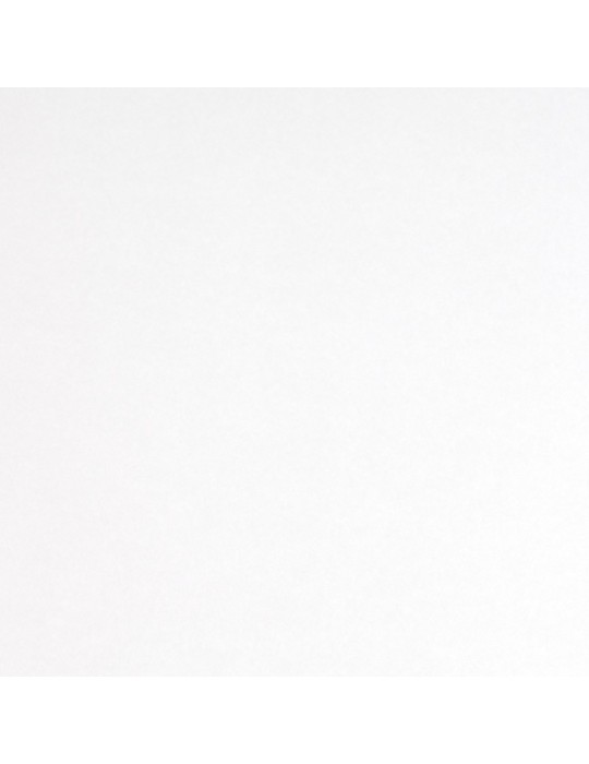 CARPRO300 - Film de protection automobile Brillant